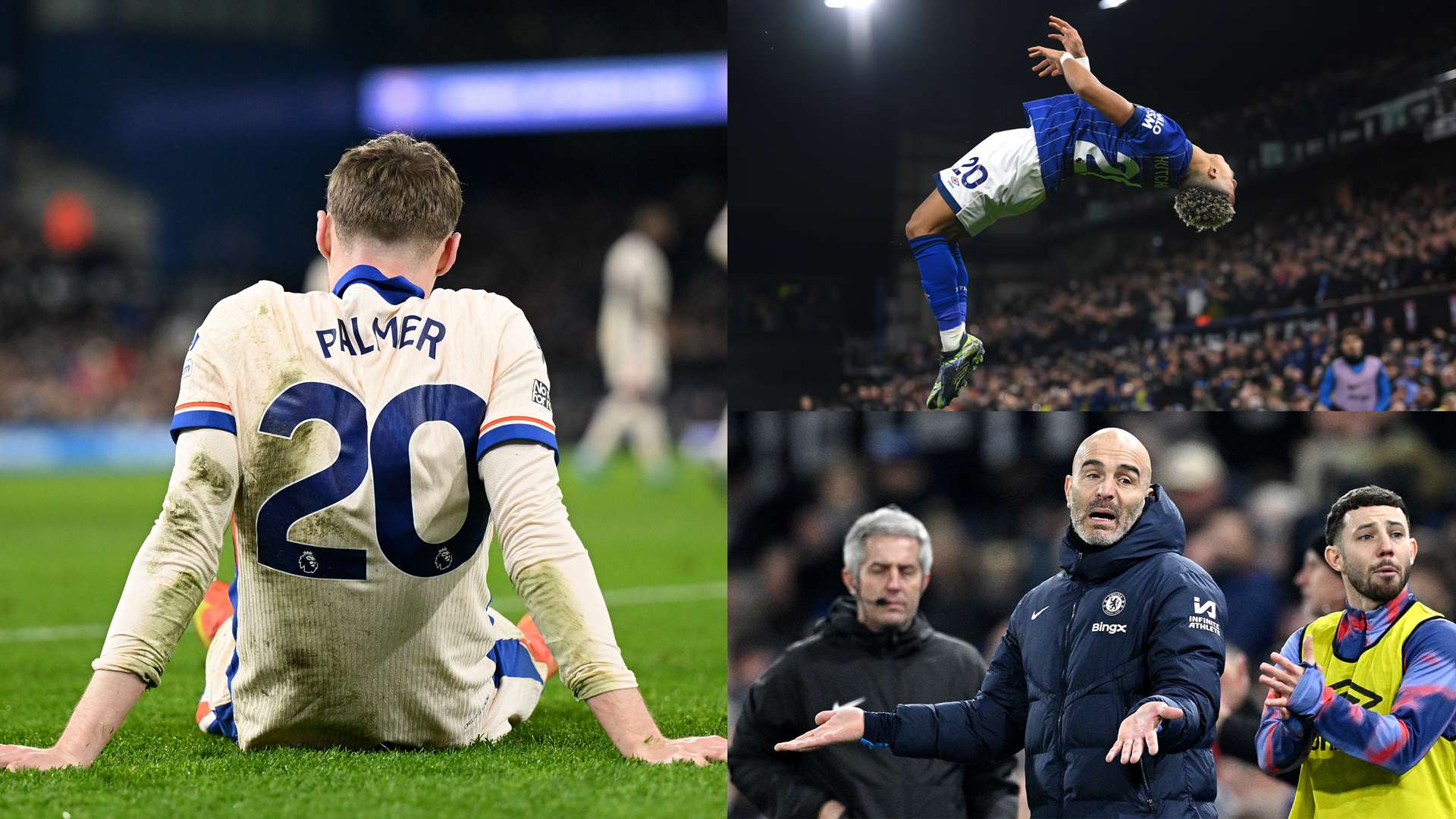 他會採用不 他會採用不